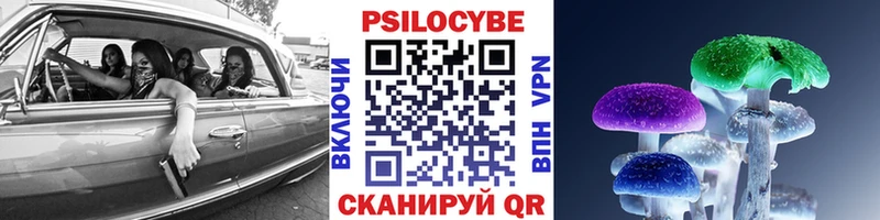 Псилоцибиновые грибы GOLDEN TEACHER  блэк спрут вход  Нарьян-Мар 